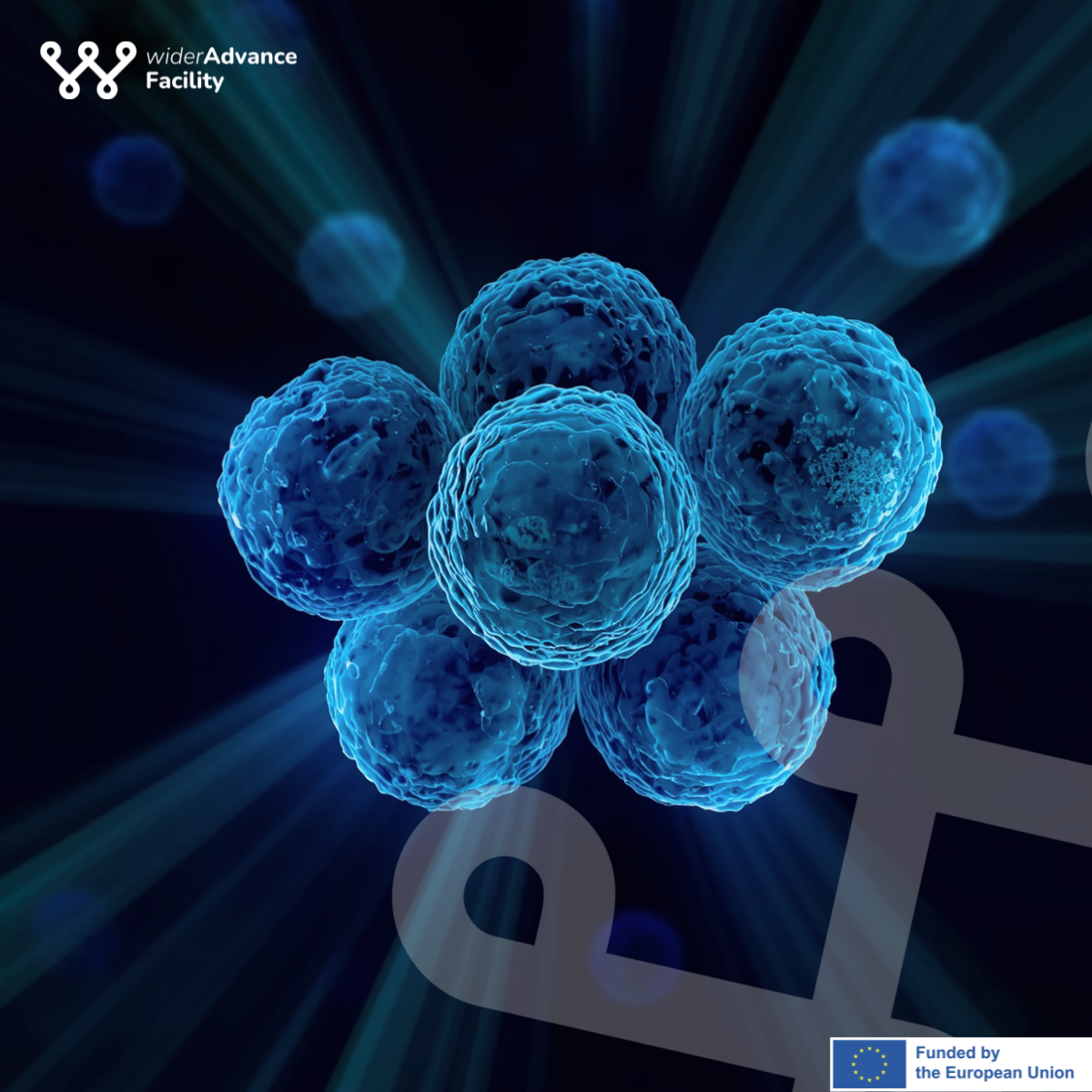 Bridging the gap between science and policy in Europe