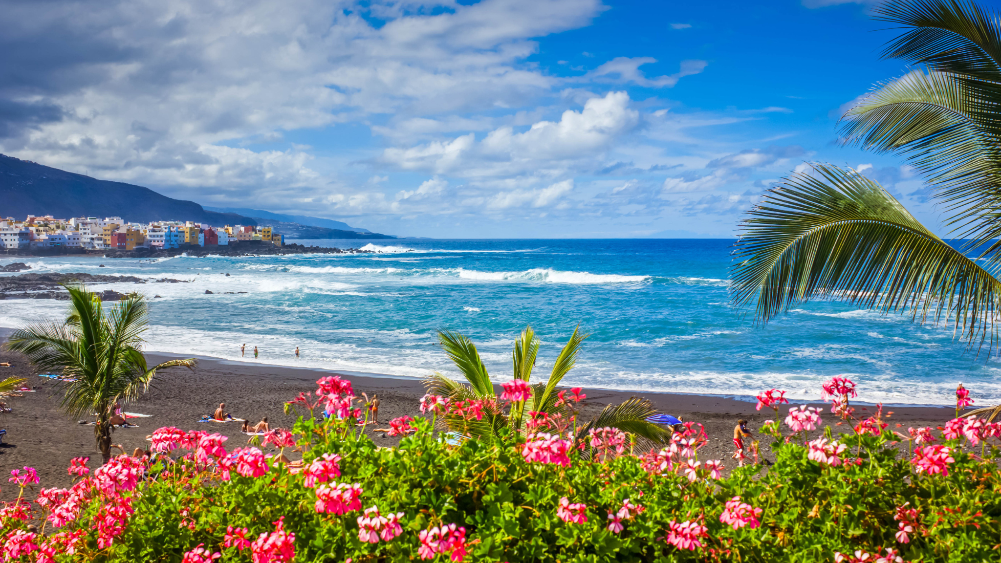 Open Days and Matchmaking event in Tenerife